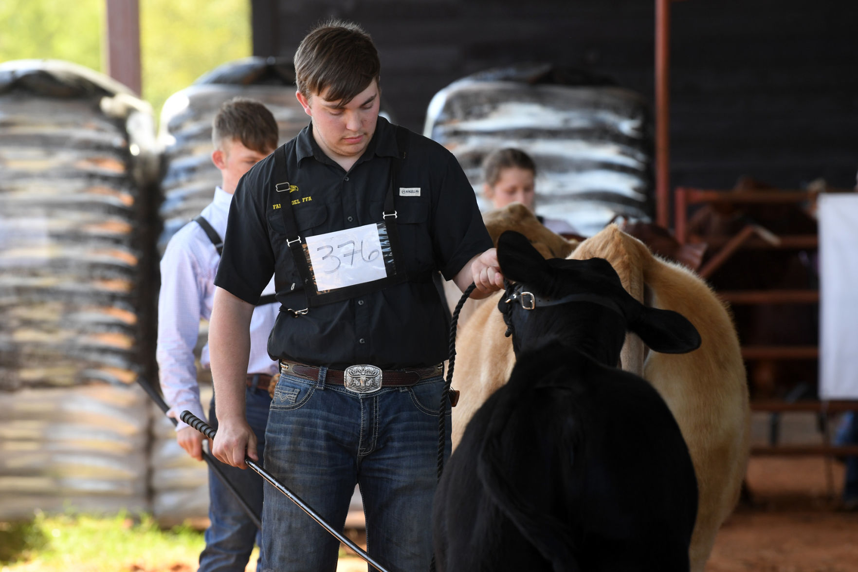 BTHO Coronavirus show